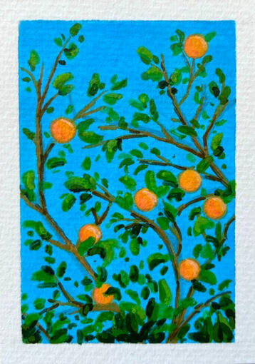 Orange Tree 5