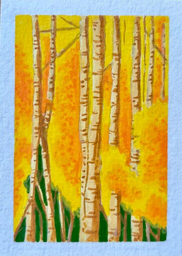Birch Forest