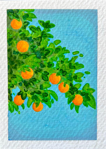 Orange Tree 4