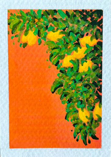 Lemon Bush