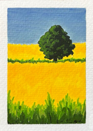 Field