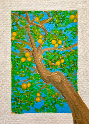 Orange Tree 2