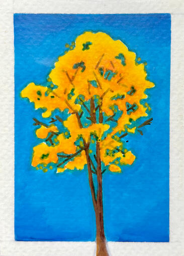 Yellow Leaves