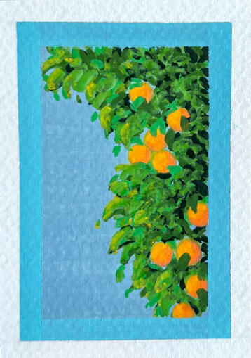Orange Bush