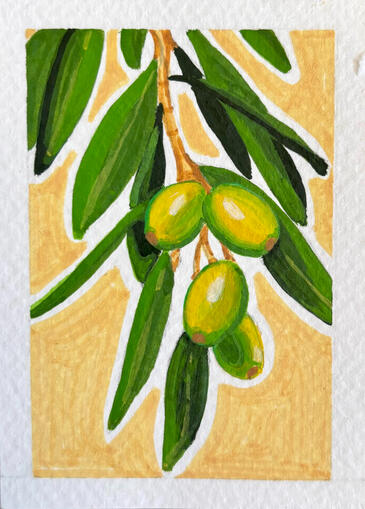 Olive Branch